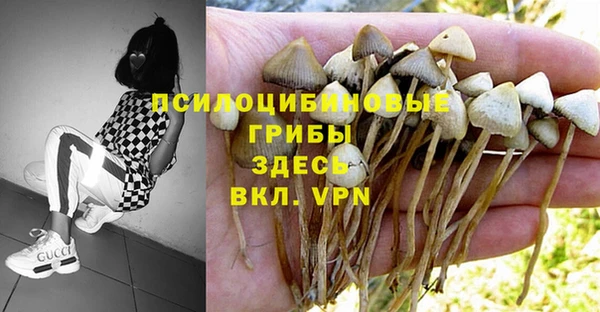 метамфетамин Бородино
