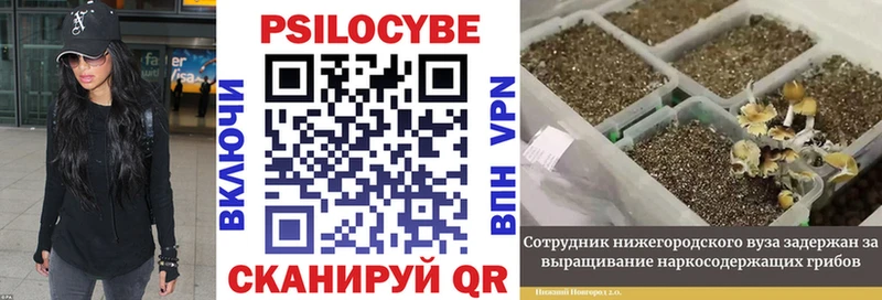 маркетплейс состав  Тюмень  Галлюциногенные грибы мухоморы 